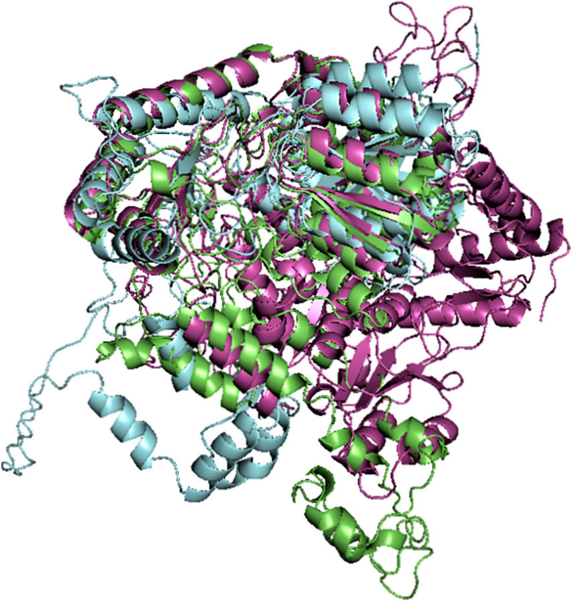 Structure-based pharmacophore modeling, virtual screening, and molecular dynamics simulation studies for identification of Plasmodium falciparum 5-aminolevulinate synthase inhibitors